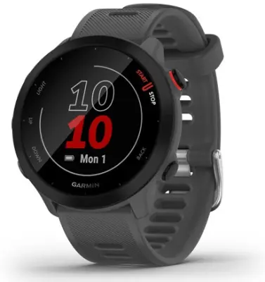 Pametni sportski sat Garmin Forerunner 55 Monterra Grey