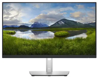 Monitor Dell Professional 24" P2422H, FHD, IPS, 5ms, 60Hz