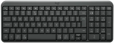 Tipkovnica LOGITECH K250 graphite